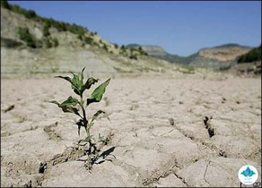 خشکسالی همچنان ادامه دارد